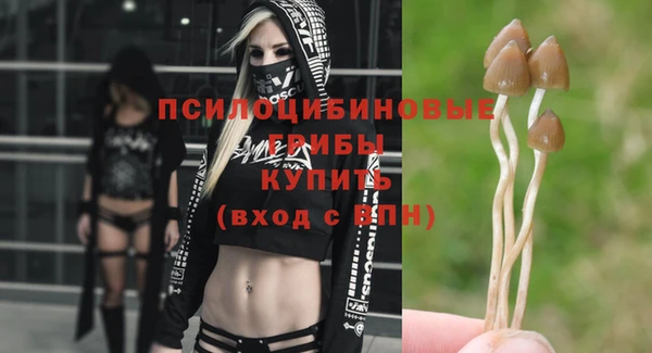 прущие крисы Бородино