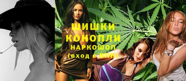 прущие крисы Бородино
