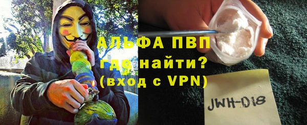 прущие крисы Бородино