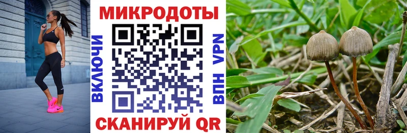 Галлюциногенные грибы прущие грибы  Купить закладки  Плавск 